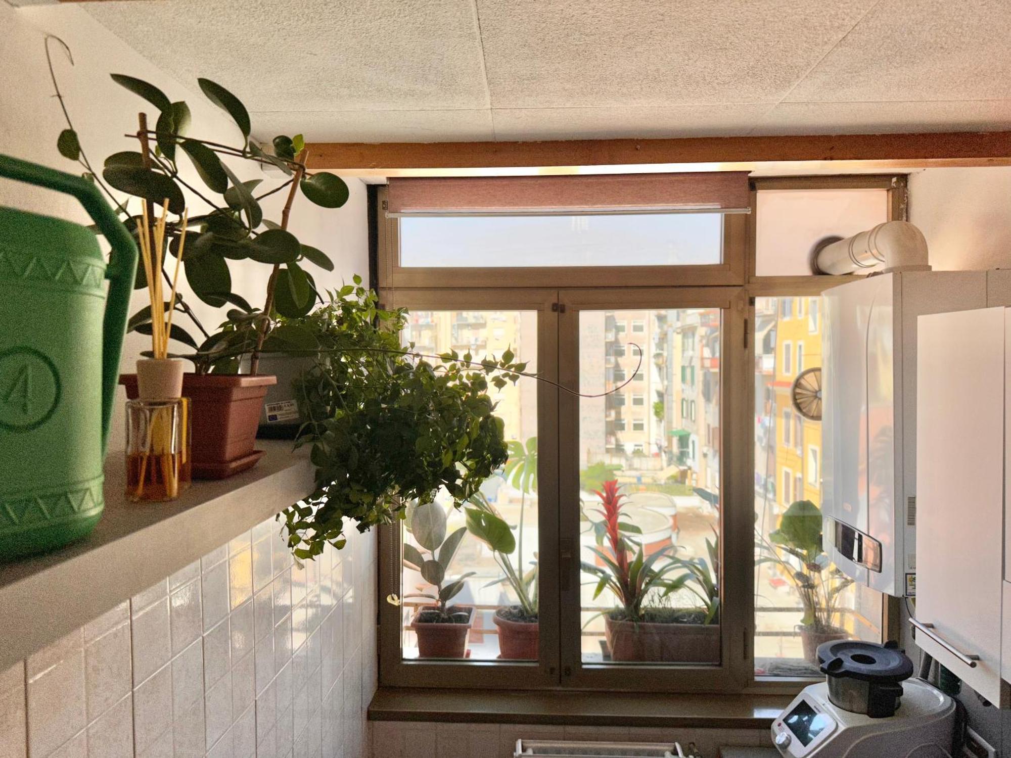 Grimaldi House Apartment Exterior photo
